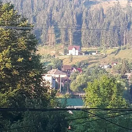 під лісом Hotell 3*